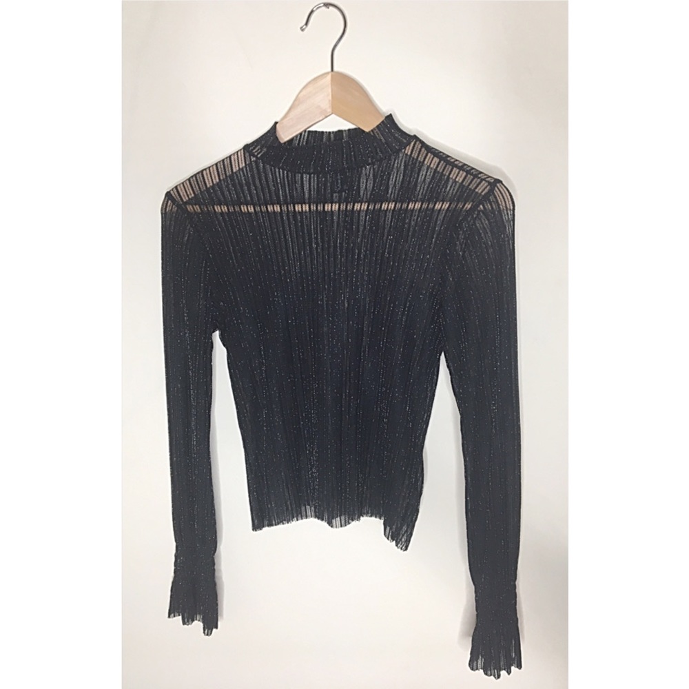 Shimmer Long Sleeve Top (see through)